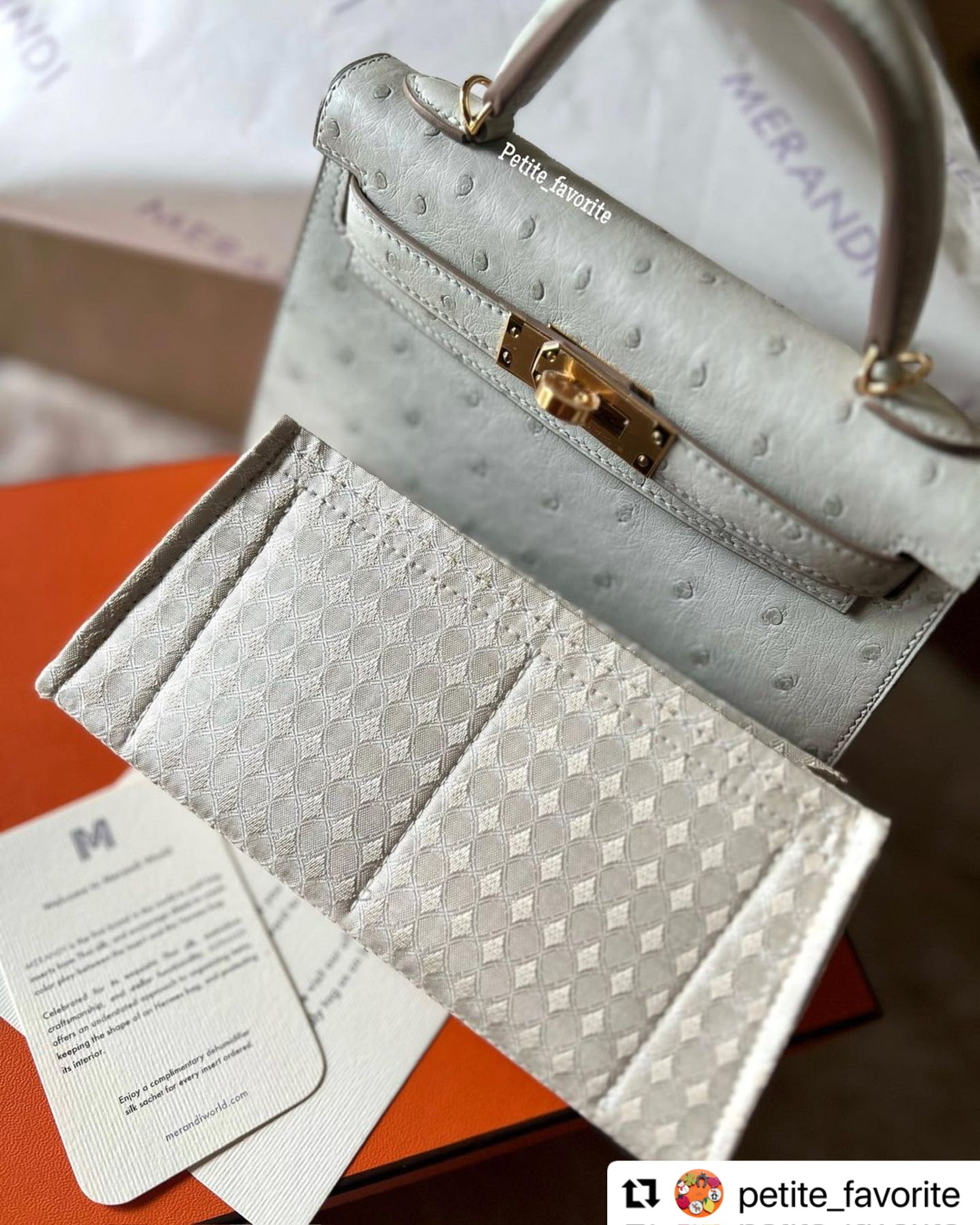 Hermes Birkin Mini Kelly exotic Kelly premium Merandi bag insert, made of Thai silk for Hermes Goyard Louis Vuitton The Row Loro Piana